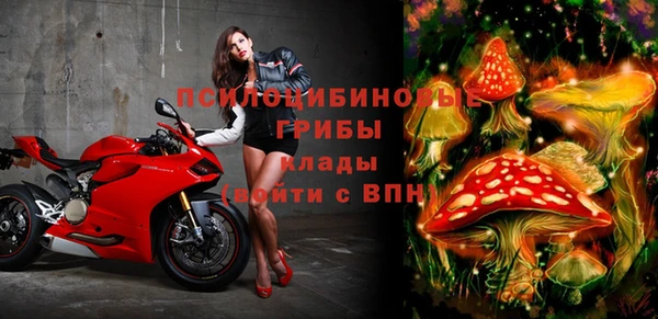 стафф Армянск