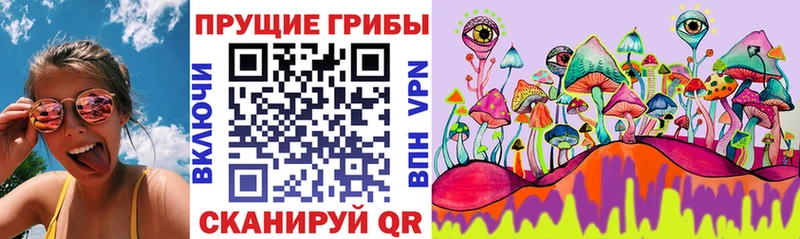 купить   Собинка  дарк нет Telegram  Псилоцибиновые грибы Cubensis 