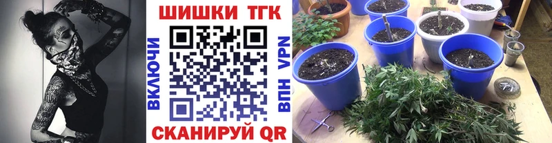 купить  сайты  Собинка  Канабис планчик 